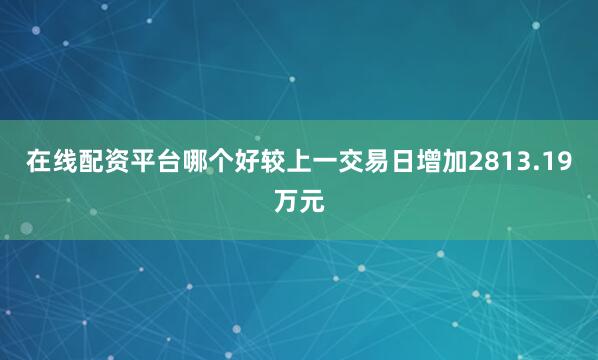 在线配资平台哪个好较上一交易日增加2813.19万元