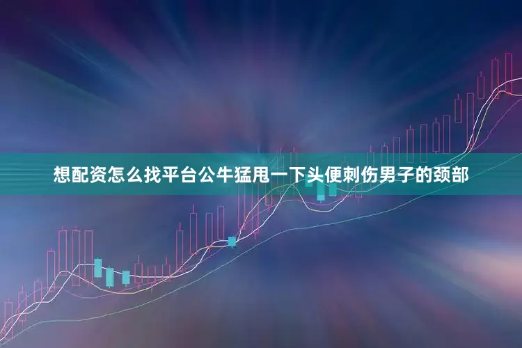 想配资怎么找平台公牛猛甩一下头便刺伤男子的颈部