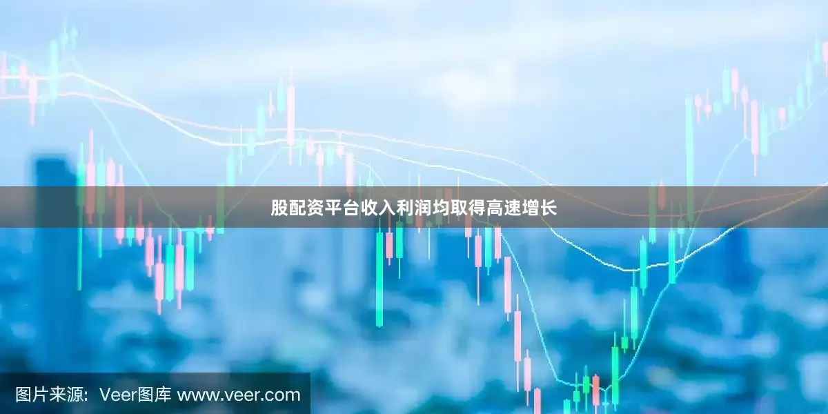 股配资平台收入利润均取得高速增长