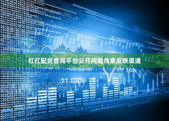 杠杠配资查询平台公开问题线索反映渠道